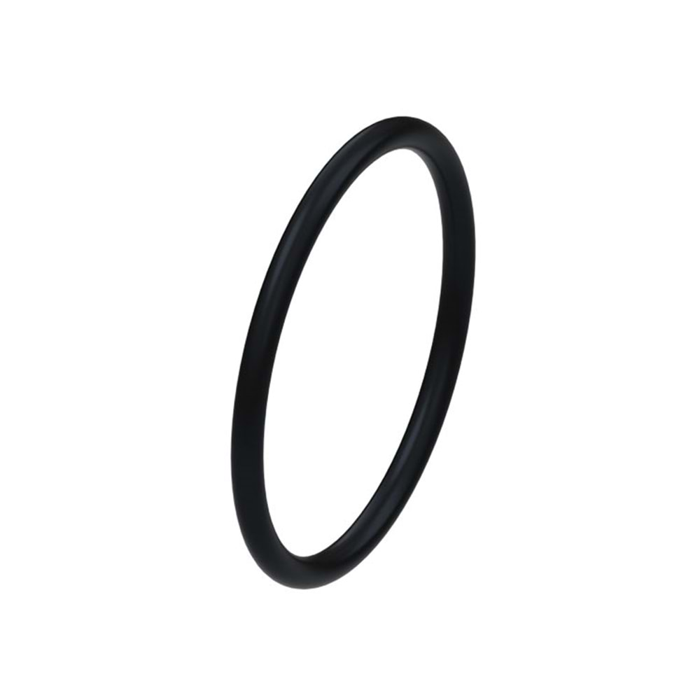 JF015E/RE0F11A O-RING