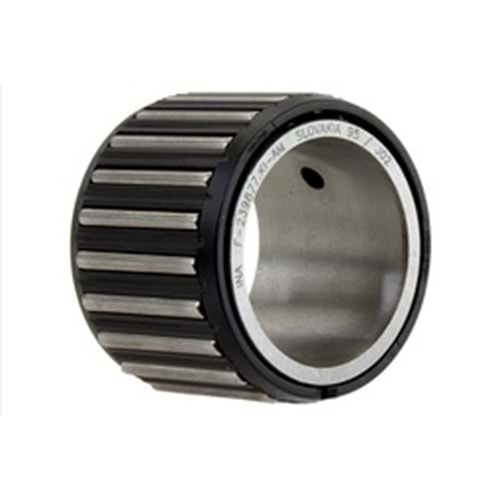 DSG NEEDLE BEARING/6-SPEED
