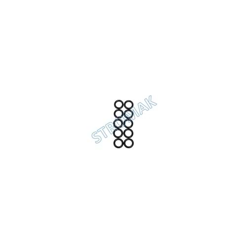 DPO/AL4 POMPA O-RING