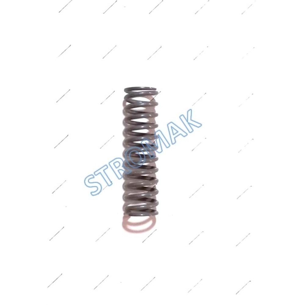 5L40E BEYİN-VALVE BODY YAY